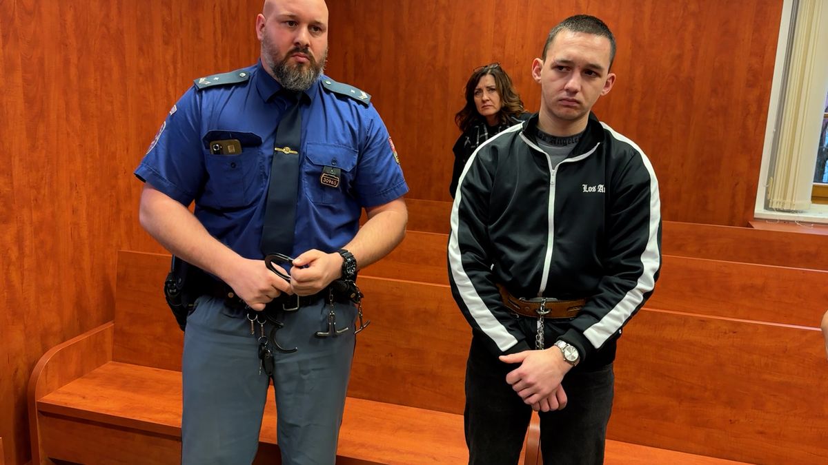 Mladík z Ukrajiny na Domažlicku naboural autem do stromu, zemřeli čtyři jeho krajané. Dostal 5 let